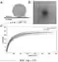 Fig. 12 - Systems and methods for instant total internal reflection fluorescence/ structured illumination microscopy