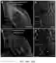 Fig. 13 - Systems and methods for instant total internal reflection fluorescence/ structured illumination microscopy