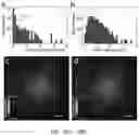 Fig. 17 - Systems and methods for instant total internal reflection fluorescence/ structured illumination microscopy