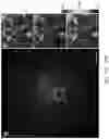 Fig. 18 - Systems and methods for instant total internal reflection fluorescence/ structured illumination microscopy