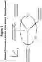 Fig. 04 - SUPER-RESOLUTION, THREE-DIMENSIONAL MICROSCOPE