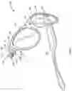 Fig. 09 - Interchangeable eyewear/head-mounted device assembly with quick release mechanism