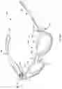 Fig. 19 - Interchangeable eyewear/head-mounted device assembly with quick release mechanism