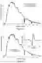 Fig. 05 - Polarizing beam splitter for THz radiation