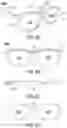 Fig. 07 - EYEGLASSES WITH INTERCHANGEABLE POWER SOURCE AND HEARING DEVICE