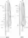 Fig. 09 - METHOD AND APPARATUS FOR RETAINING EYEGLASSES