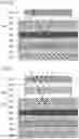 Fig. 08 - Liquid crystal panel