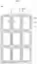 Fig. 04 - Liquid crystal display panel, liquid crystal display panel body component, and method of producing liquid crystal display panels