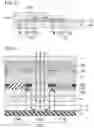 Fig. 07 - LIQUID CRYSTAL DISPLAY DEVICE