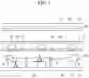 Fig. 08 - LIQUID CRYSTAL DISPLAY AND MANUFACTURING METHOD THEREOF