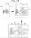 Fig. 41 - User terminal device and displaying method thereof