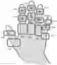 Fig. 01 - CAPACITIVE FLEX SENSORS