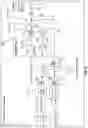 Fig. 13 - Pen system with internal pressure tilt rotation
