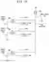 Fig. 15 - Method and apparatus for discriminating between user interactions