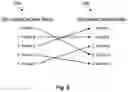 Fig. 06 - Data set allocations taking into account point-in-time-copy relationships