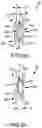 Fig. 24 - BEVELED HANDHELD COMMUNICATION DEVICE EDGE