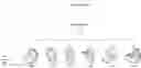 Fig. 01 - Method to determine intended direction of a vocal command and target for vocal interaction