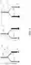Fig. 04 - ASYMMETRIC SPECULATIVE/NONSPECULATIVE CONDITIONAL BRANCHING