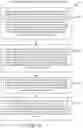 Fig. 11 - ASYMMETRIC SPECULATIVE/NONSPECULATIVE CONDITIONAL BRANCHING