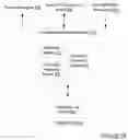 Fig. 03 - Optimizing logging of decision outcomes in distributed transactions