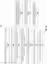 Fig. 13 - White box code concurrency testing for transaction processing