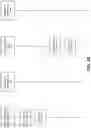 Fig. 05 - Transforming data structures and data objects for migrating data between databases having different schemas