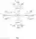 Fig. 02 - Association mapping game