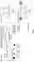 Fig. 28 - Generating an unambiguous interpretation of ingested content to produce knowledge
