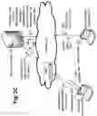 Fig. 06 - Geographic location based feed