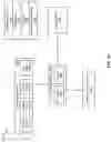 Fig. 18 - Focus operations for regions in geographical hierarchies