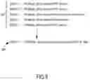 Fig. 08 - Predicting queries using neural networks