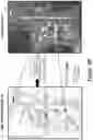 Fig. 08 - Simulated vehicle traffic for autonomous vehicles
