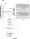 Fig. 13 - Systems and Methods for Securely Transmitting Large Data Files