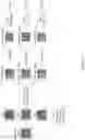 Fig. 06 - PER-CHANNEL COLOR BARCODES FOR DISPLAYS