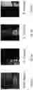 Fig. 07 - PER-CHANNEL COLOR BARCODES FOR DISPLAYS