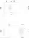 Fig. 11 - BIOMETRIC SENSOR AND DISPLAY DEVICE HAVING SAME
