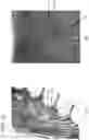 Fig. 11 - Striped pattern image examination support apparatus, striped pattern image examination support method, and program