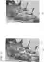 Fig. 12 - Striped pattern image examination support apparatus, striped pattern image examination support method, and program