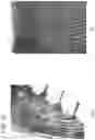 Fig. 13 - Striped pattern image examination support apparatus, striped pattern image examination support method, and program