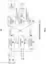 Fig. 05 - Systems and methods for member facial recognition based on context information