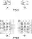 Fig. 06 - Rapid identification method for fingerprint