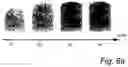 Fig. 09 - Post verification fingerprint image capture