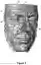Fig. 04 - Method for determining pose and for identifying a three-dimensional view of a face