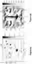 Fig. 05 - Method for determining pose and for identifying a three-dimensional view of a face