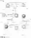 Fig. 06 - Automated relationship categorizer and visualizer