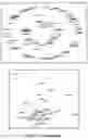 Fig. 14 - Generating variations of a known shred