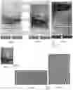 Fig. 11 - System and method for detecting the authenticity of products