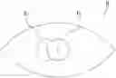 Fig. 01 - Pupil tracking device