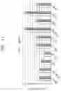Fig. 13 - Method and device with convolution neural network processing