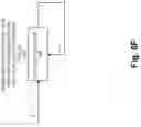Fig. 13 - Rehearsal network for generalized learning